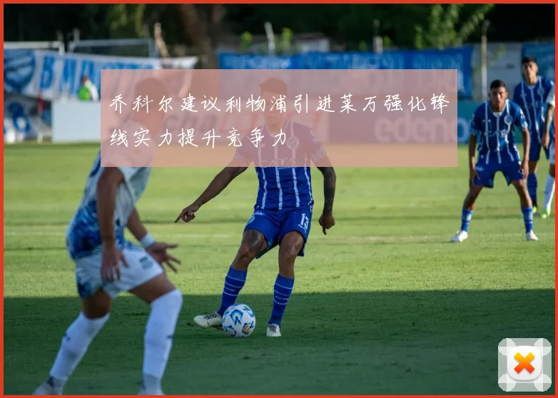乔科尔建议利物浦引进莱万强化锋线实力提升竞争力