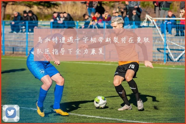 乌加特遭遇十字韧带断裂将在曼联队医指导下全力康复